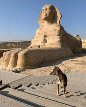 Fares pyramids Hostel